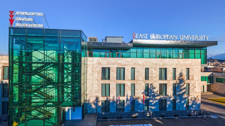 East European University